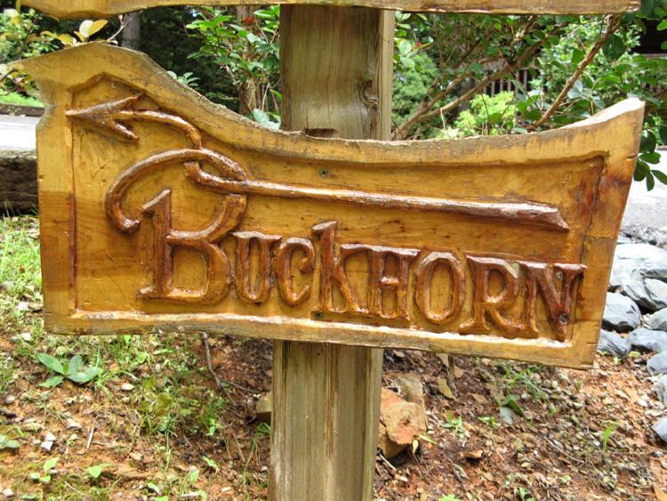 ガトリンバーグ Buckhornヴィラ エクステリア 写真